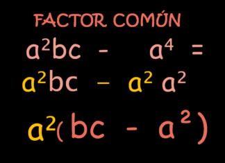 Factor común