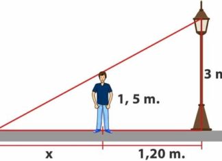 Teorema de Tales, ejercicios y problemas de aplicación