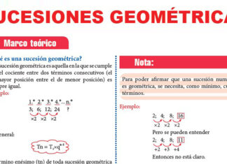 Sucesiones y Series Geométricas